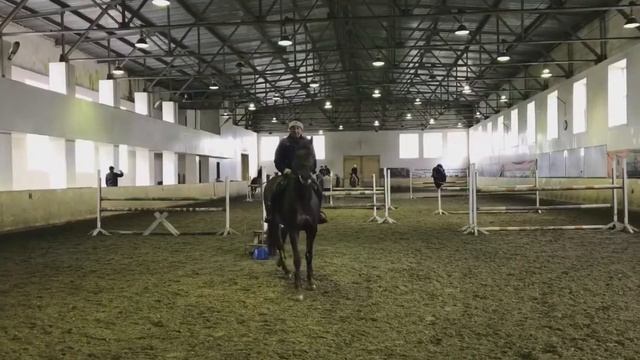 Конник-состояние души! Ростов-на-Дону, Центральный ростовский ипподром. смотреть онлайн