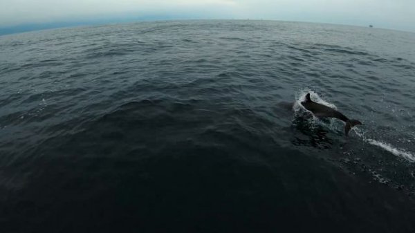 Мощный электросерф 🔥🔥🔥