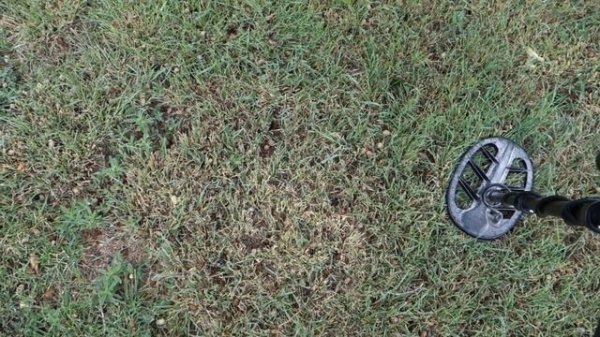 Metal Detecting:  Ford Model T Valve Stem + Old Wheat Penny