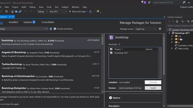 How to Embed Bootstrap to Visual Studio смотреть онлайн