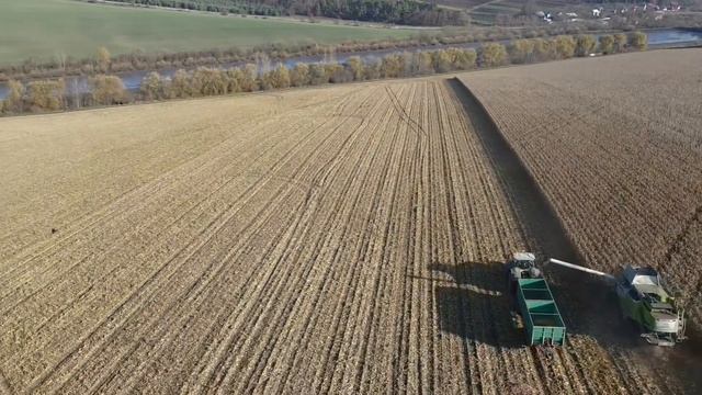 Ідеальна погода?️☀️для збирання кукурудзи? комбайн CLAAS Lexion 760TT + Olimac Drago‼️?