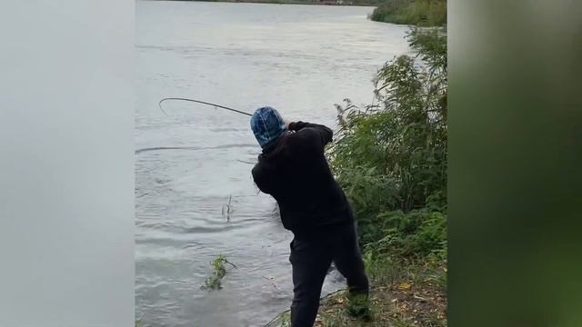 Xesta runway sls 90 mobile и немного рыбов