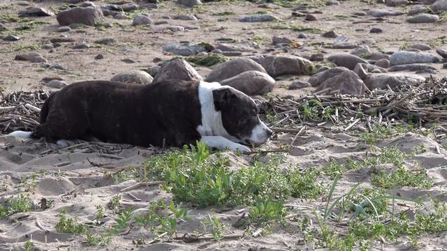 котлин смотреть онлайн