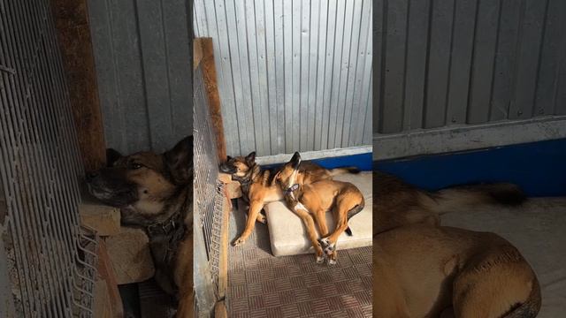 Дневной балдеж 😁 смотреть онлайн