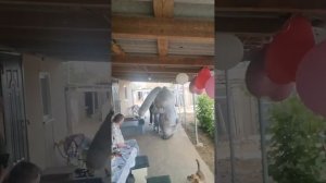 самый весёлый и ласковый зайка поздравляет малышей