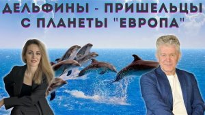 🔵ДЕЛЬФИНЫ ВЫХОДЯТ НА ТЕЛЕПАТИЧЕСКИЙ КОНТАКТ С ЛЮДЬМИ. ВАЛЕРИЙ УВАРОВ.