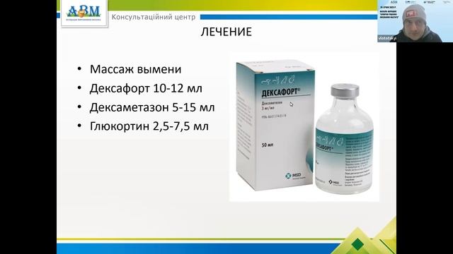 Причины возникновения и методы борьбы с отеком вымени смотреть онлайн