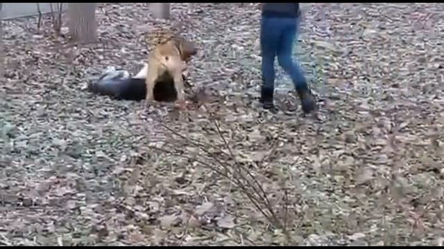 Бурбуль Войс Вельд Дживанши смотреть онлайн