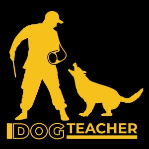 IDOGteacher интервью с Ольгой Королёвой