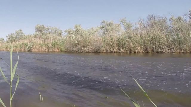 Jet Ski for fishing.Гидроцикл для рыбалки. смотреть онлайн