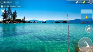 Щука обыкновенная в My Fishing World