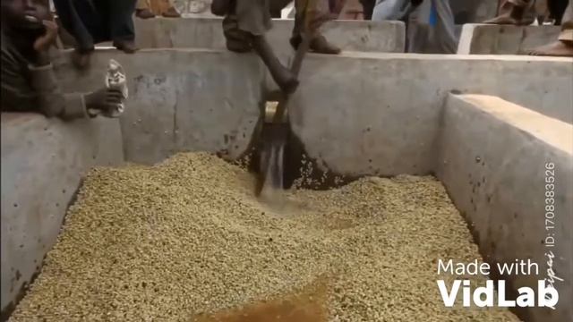 Ethiopian Coffee смотреть онлайн