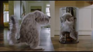 Девять жизней 2016