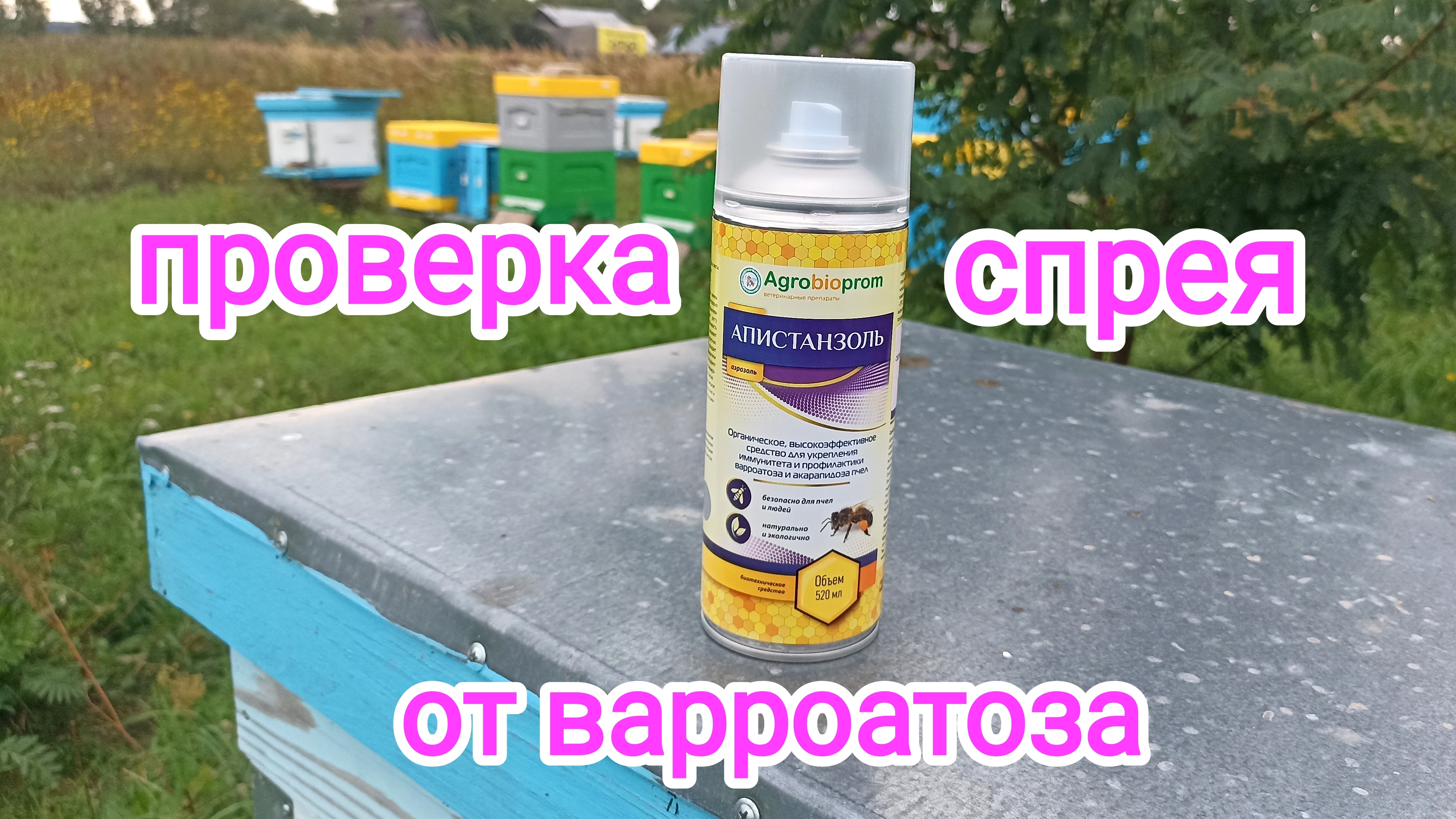 Борьба с клещём варроа у пчёл, без химии! Пчеловодство! смотреть онлайн