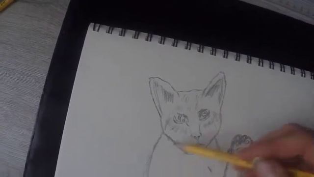 time lapse version how to draw a anime style cats [master of arts ] смотреть онлайн
