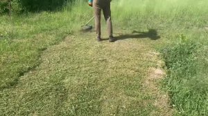 Эффективный способ косить траву-быстро и качественно