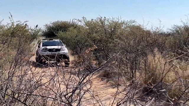 2023 SARRC | Toyota Gazoo Racing 1000 Desert Race | Team KEC Racing | Johan van Staden смотреть онлайн