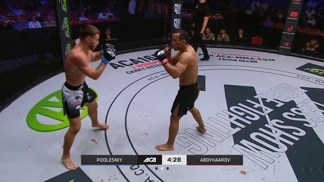 Подлесный Александр