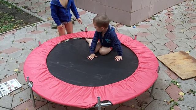 Посылка СЮРПРИЗ заставила МЕНЯ ПОПОТЕТЬ, Зато Баграм и Тигран довольны/ цыплята марана & попугай смотреть онлайн