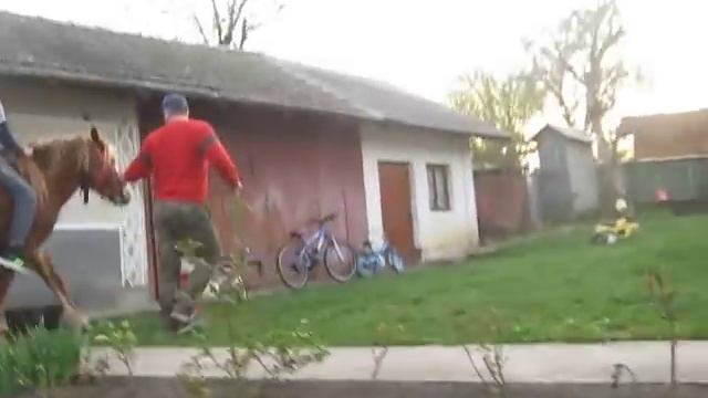 Коні ваговози .Як на перший раз непогано смотреть онлайн