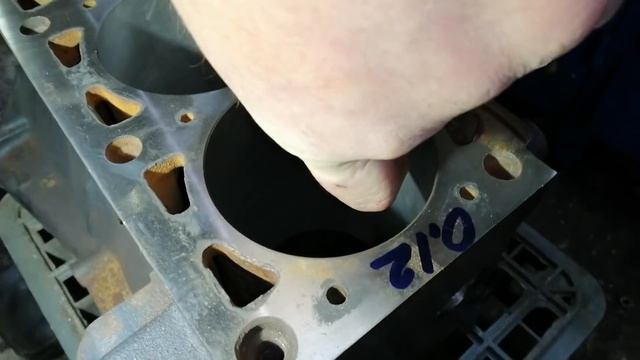 Хон? Или хон? Или все таки зеркало? смотреть онлайн