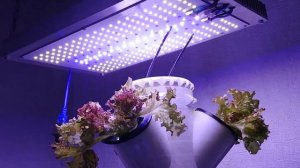 ?ДНаТ LED или ЭСЛ какую лампу выбрать для гроубокса  типы для выращивания