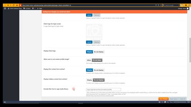 Clientdashboard plugin for Divi & Wordpress - setup and customization video смотреть онлайн