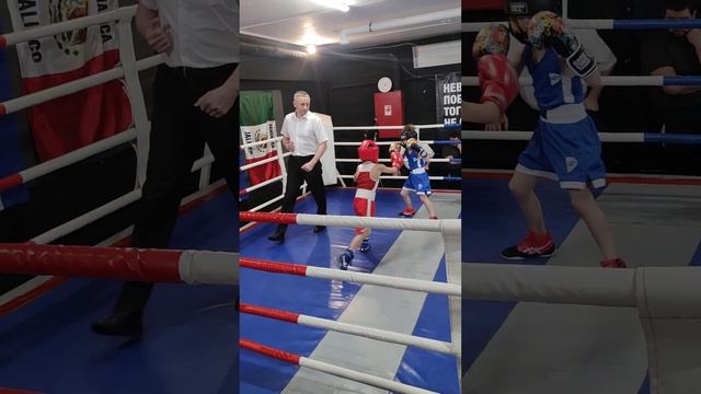 Соревнования по боксу. смотреть онлайн