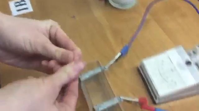 Опыт Гальвани с лягушкой смотреть онлайн