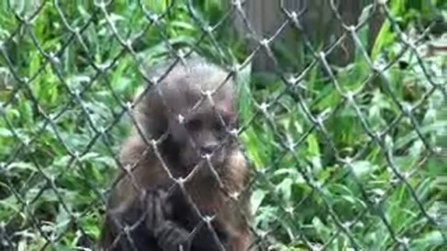 Наш специальный корреспондент смотреть онлайн