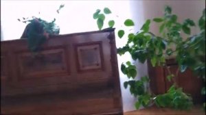 ВОЕННЫЙ САНАТОРИЙ "КИСЛОВОДСКИЙ" Отдых в 4 корпусе!