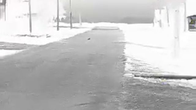 Ёж в Hikvision owl35 смотреть онлайн