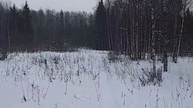 ПРОВЕРКА МЕСТА ПОДКОРМА. ВАЖНЫЕ ВЫСКАЗЫВАНИЯ ПО ПОВОДУ КАНАЛА!