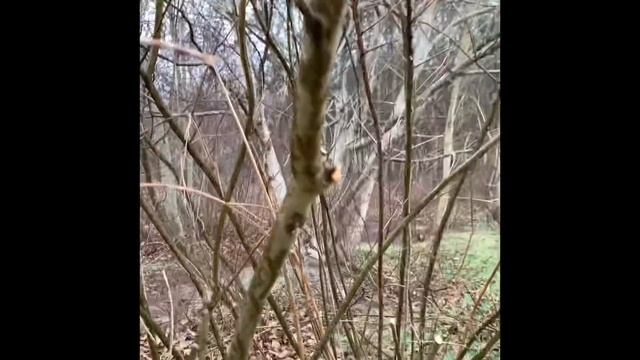 ЧТО ВЫ ДУМАЕТЕ ПРО ТАКИЕ БРАКИ? Старый ПЕРДУН и МОЛОДАЯ ПРОДУМАНКА… смотреть онлайн