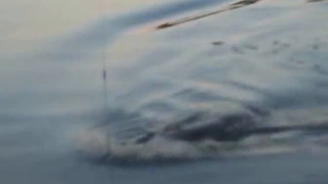 рыбалка на Севере. Архангельская область смотреть онлайн