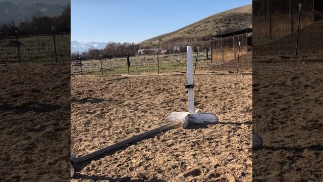 Wild Mustang From Bidding To 1st Ride - Challis Idaho BLM Horse Herd смотреть онлайн