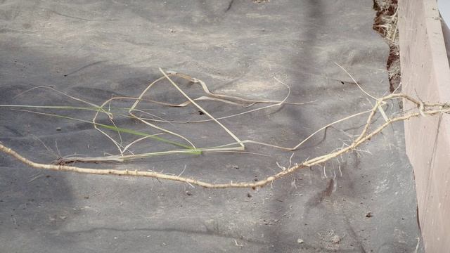 Система вентиляции | Битва теплиц 4-й сезон смотреть онлайн