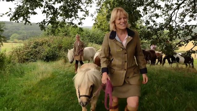 Welcome to Shetland Pony Club: TV Episode 1 смотреть онлайн