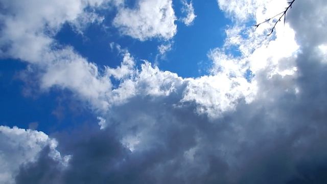 Спеют красная смородина и крыжовник / Красивое летнее небо смотреть онлайн
