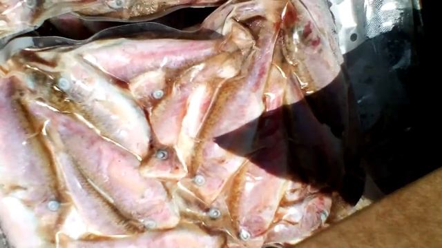 Ваша любимая рыбка БАРАБУЛЬКА смотреть онлайн