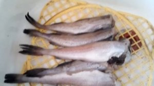 Червивый минтай из Магнита