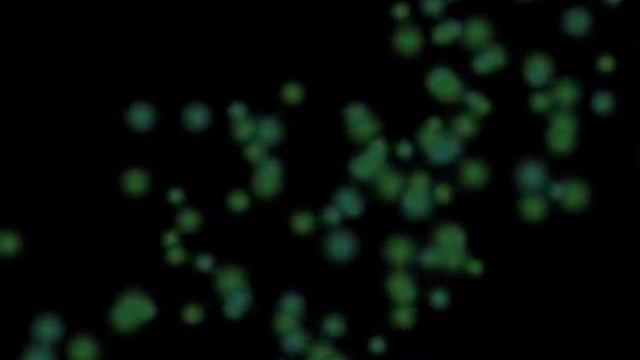Зміцер Вайцюшкевіч - Залюляю, як кахаю (2007) смотреть онлайн