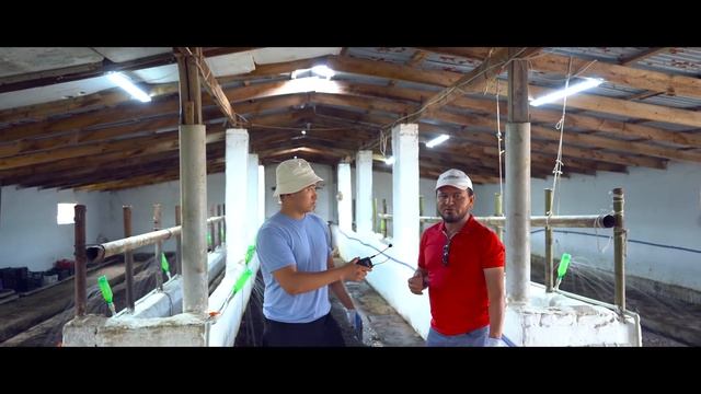 Мал боғын қалай 10 млн тг айналдыруға болады? Биогумус бизнесі. | Шылаушын өсіру. Ауыл шаруашылығы смотреть онлайн