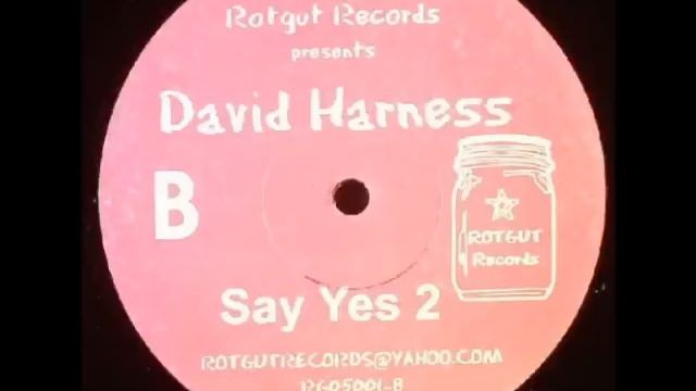David Harness - Say Yes 2 смотреть онлайн