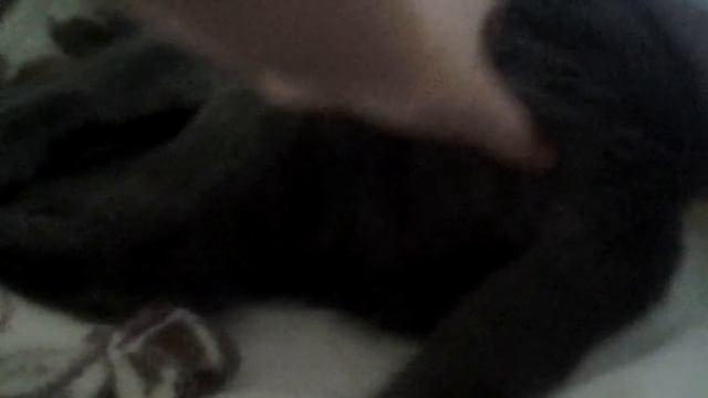 Маша нет рора я ж маша смотреть онлайн