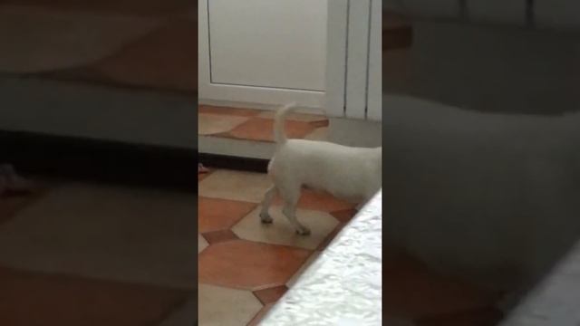 Помогаю убирать Хозяйке квартиру