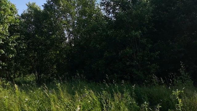 Земельные участки ИЖС на Светлом переулке, д.Воронино Ферзиковского р-на Калужской обл. смотреть онлайн