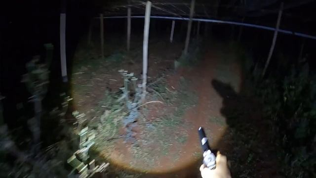 NÃO ERA PARA TER ACONTECIDO ISSO COM O HOMEM DA PARREIRA смотреть онлайн