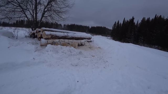 Дороге быть. Распиливаю брёвна на дрова. Приехал К-700 "Кировец" Почистил дорогу в заброшку. смотреть онлайн