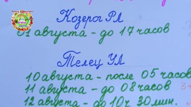Когда нарезать черенки и укоренять черенки роз, актинидии, других растений в августе 2020 года? смотреть онлайн